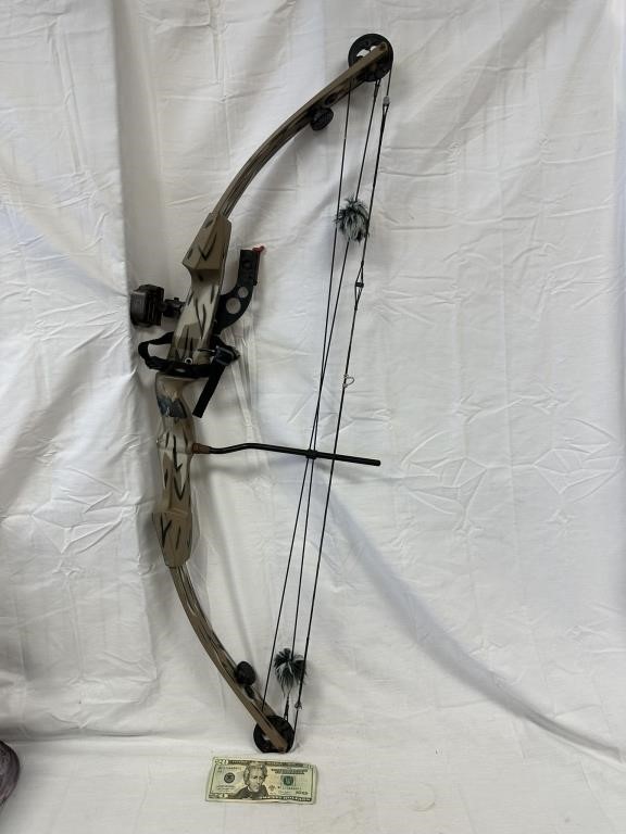 Hoyt Raider Compound Hunting Bow