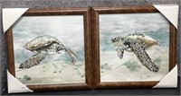 Pair, Swimming Turtles Board Picture Framed in