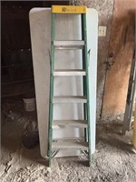 Davidson Fiberglass Ladder