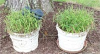 Pair Potted Plants with Planters