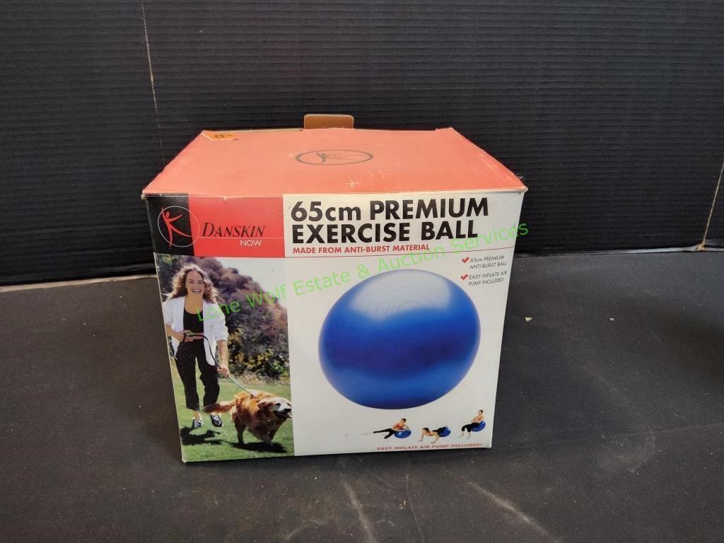 Danskin 65cm Premium Exercise Ball
