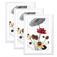 THREELOVE 20x30 Frame, Perfect for 16x26 inch
