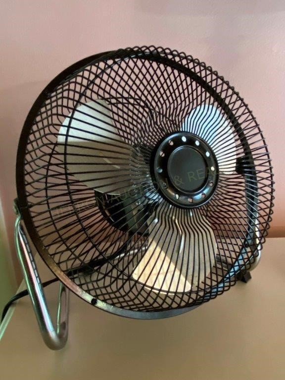 Fan