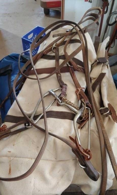 Headstall with Bits & Reins