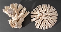 Large White Coral Specimens, 2