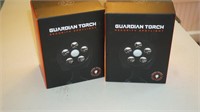 Two Guardian Torch Security Spotlight