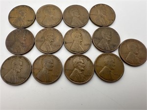 13 Wheat Pennies Early 1900's