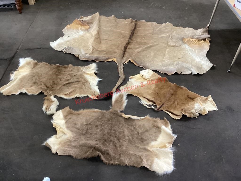 Assorted African Animal Skins