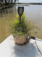 2 LARGE POTTED PLANTS ON DOCK