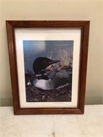 signed and numbered duck picture