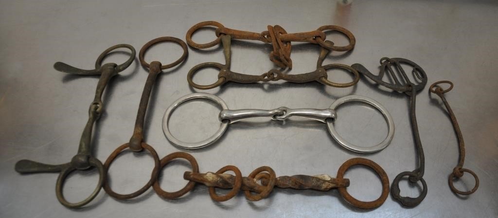 Lot of horse bits, see pics