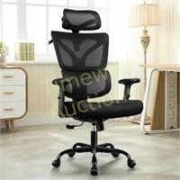 Ergonomic Office Chair  31.5in Large  Black