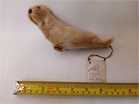 Vintage Genuine Newfoundland Seal Skin Seal