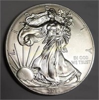 silver eagle coin 2013 uncirculated dollar