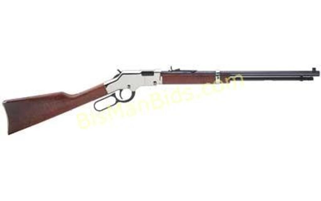 HENRY GOLDEN BOY SILVER 22LR 20"