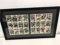 SK Roughrider cards. Autographed. Framed