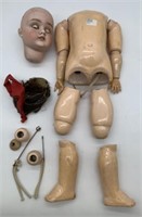 12 Doll Parts,Paitoy? Germany,body,head,legs