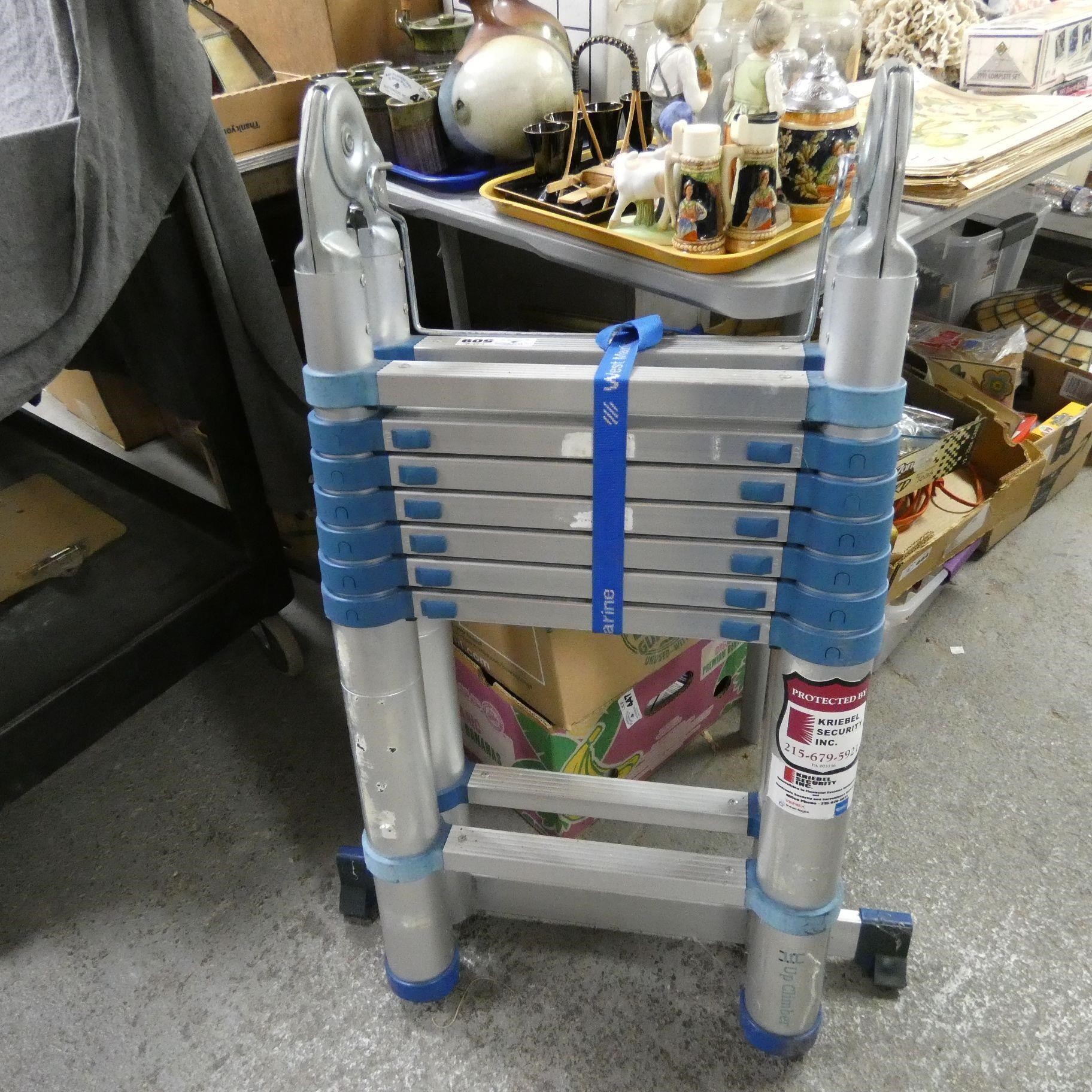 West Marine Telescopic Ladder