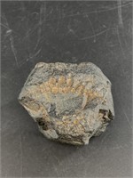 2" Meteorite