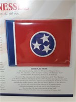 Tennessee State Flag patch