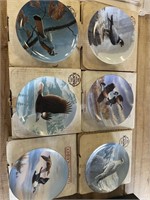 6 Wild Life Bird Collector Plates