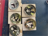 5 Wild Life Panda Collectors Plates