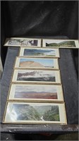 12" x 4" Framed Nature Photographs Lot of 7