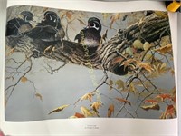 Signed "Out On A Limb" Christopher Walden Print