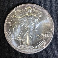 1989 American Silver Eagle