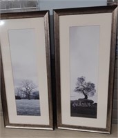 Pair of Oaktree Framed prints 27 x 13"