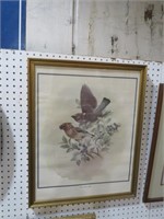 FRAMED CEDAR WAX WINGS BIRD PRINT ARTIST SIGNED