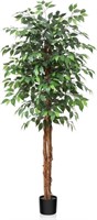6ft Ficus Tree Decor