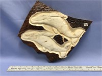 Approx. 10" x 10" section of a moose antler with r