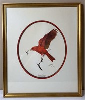 'Summer Tanager' Ray Harm Print (1963)