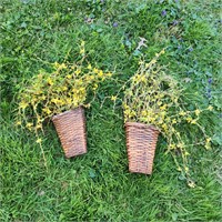 2 Yellow Willow Baskets