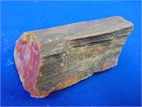 Natural Mineral  Petrified Wood Sample