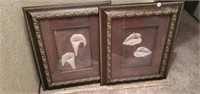 2 Framed Lily Artistic Prints