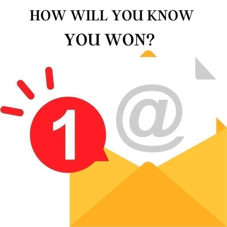 BIDDING INSTRUCTIONS: HOW WILL YOU KNOW YOU WON?