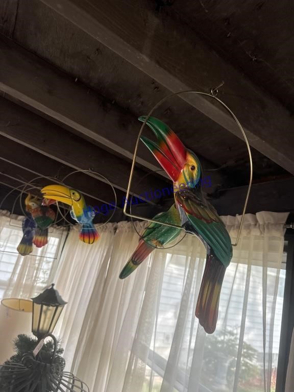 (5) PARROTS ON SWINGS, ON PATIO