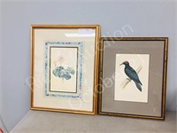 2 pcs art, framed prints- woodpecker & floral