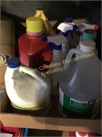 Cleaning supplies, vinegar, bleach & spray