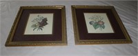 pair matted prints in ornate frames