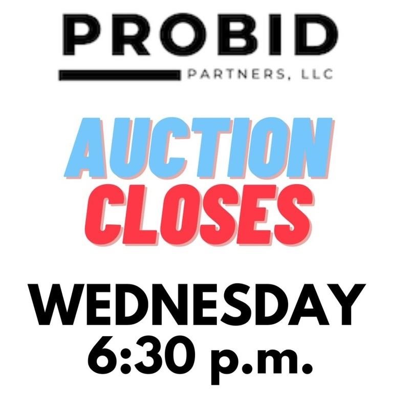 YOU ARE BIDDING IN THE PRO BID PARTNERS AUCTION