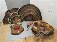 Deer Rack, Turkey Tails & Hunting Decor