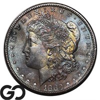 1880-S Morgan Silver Dollar, Toned Gem BU PL