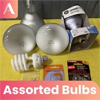 Assorted Light Bulbs Lot