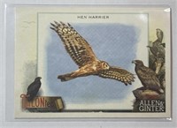 2023 Topps Allen & Ginter #TT-12 Hen Harrier!