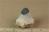 Trilobite Fossil, 4.4oz