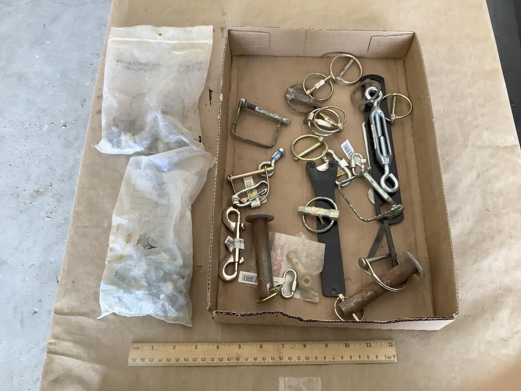 Lot w/ pins & misc. hardware