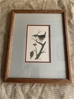 Wren Bird Print 12 1/4"x15 1/4"